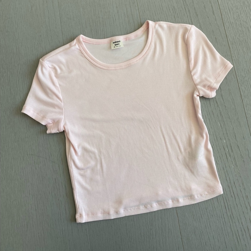 aritzia cropped t shirt